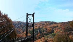 Other.  ■ Introduction of town ■ Wrapped in lush greenery of Mount Ikoma system, Charm is the bounty of nature. "Osaka City University Botanical Garden" and "Kurondo orchards", "Hoshida orchard", etc., Spot utilizing the rich nature are dotted, It is also useful, such as holidaymakers with your family.