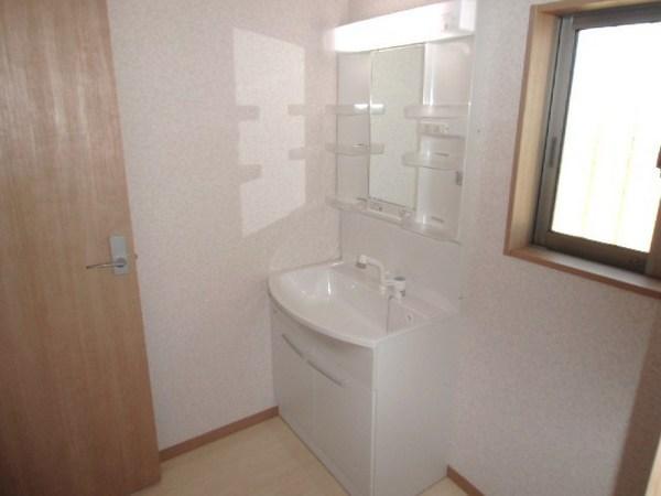 Wash basin, toilet. Vanity with excellent storage capacity of the shower