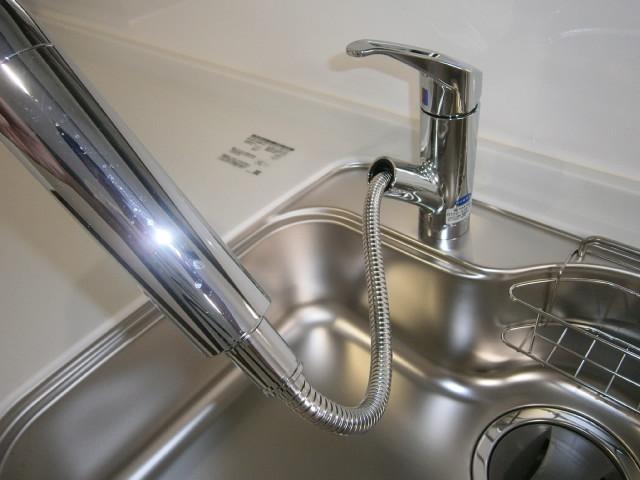 Kitchen. Something useful extending shower head