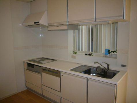 Kitchen. Local appearance photo With dishwasher