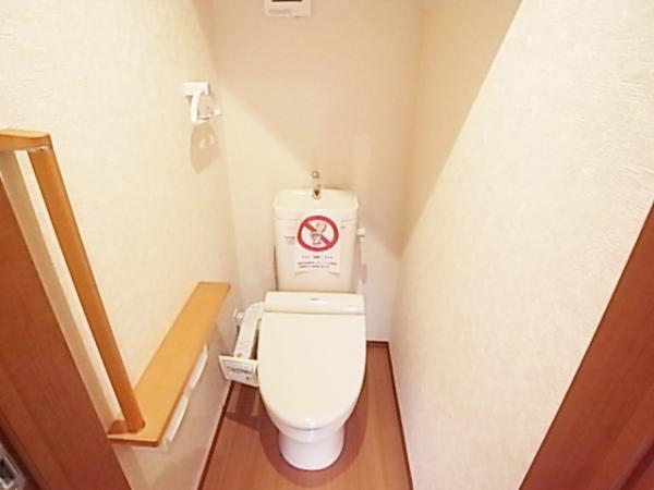 Toilet. Convenient shower toilet
