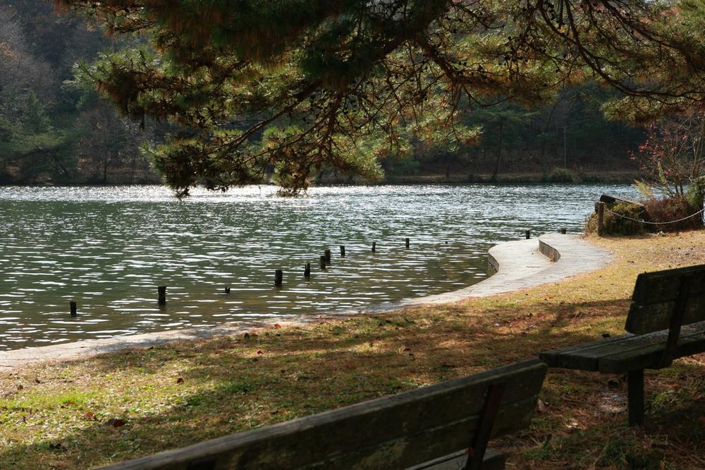 Other. Kurondo Pond Nature Park