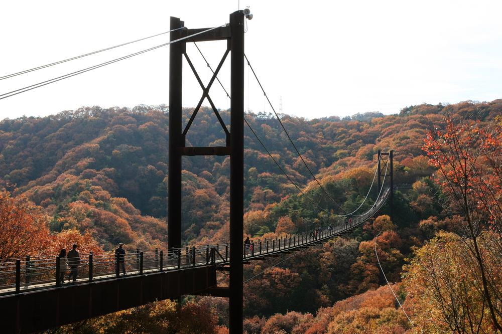 Other. Forest prefectural Hoshida teleseismic