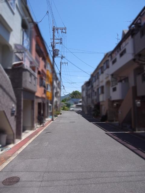 Local photos, including front road