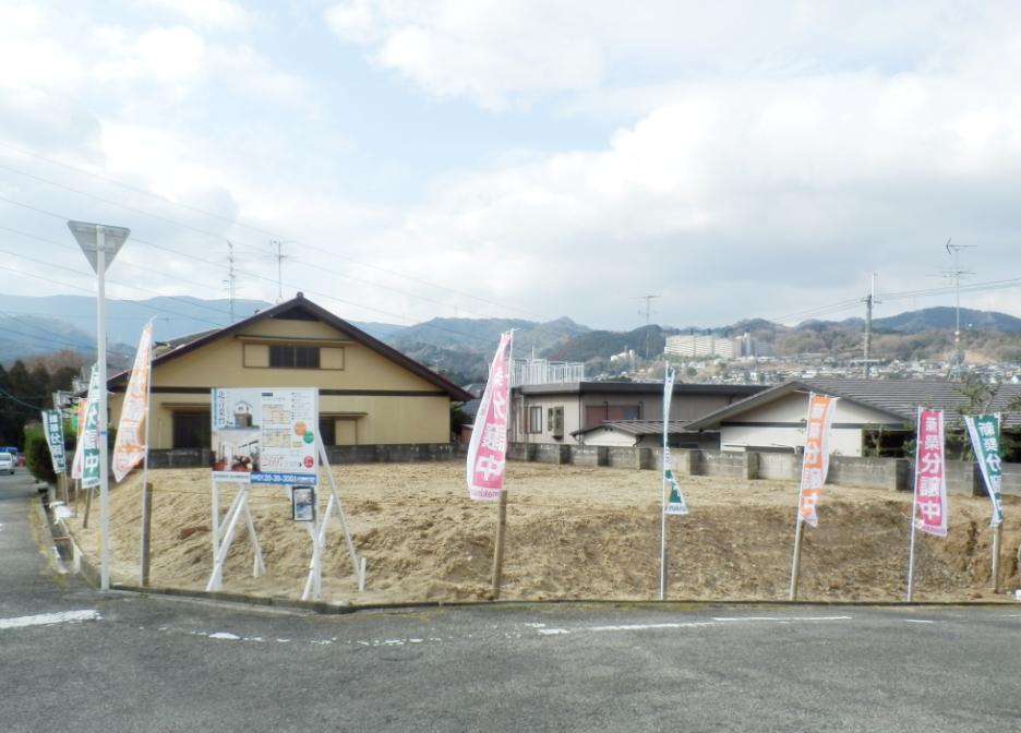 Local photos, including front road. Local (March 2013) Shooting