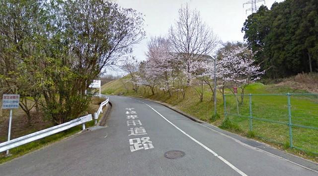 Primary school. Kawachinagano standing Buddhas until the elementary school 1710m