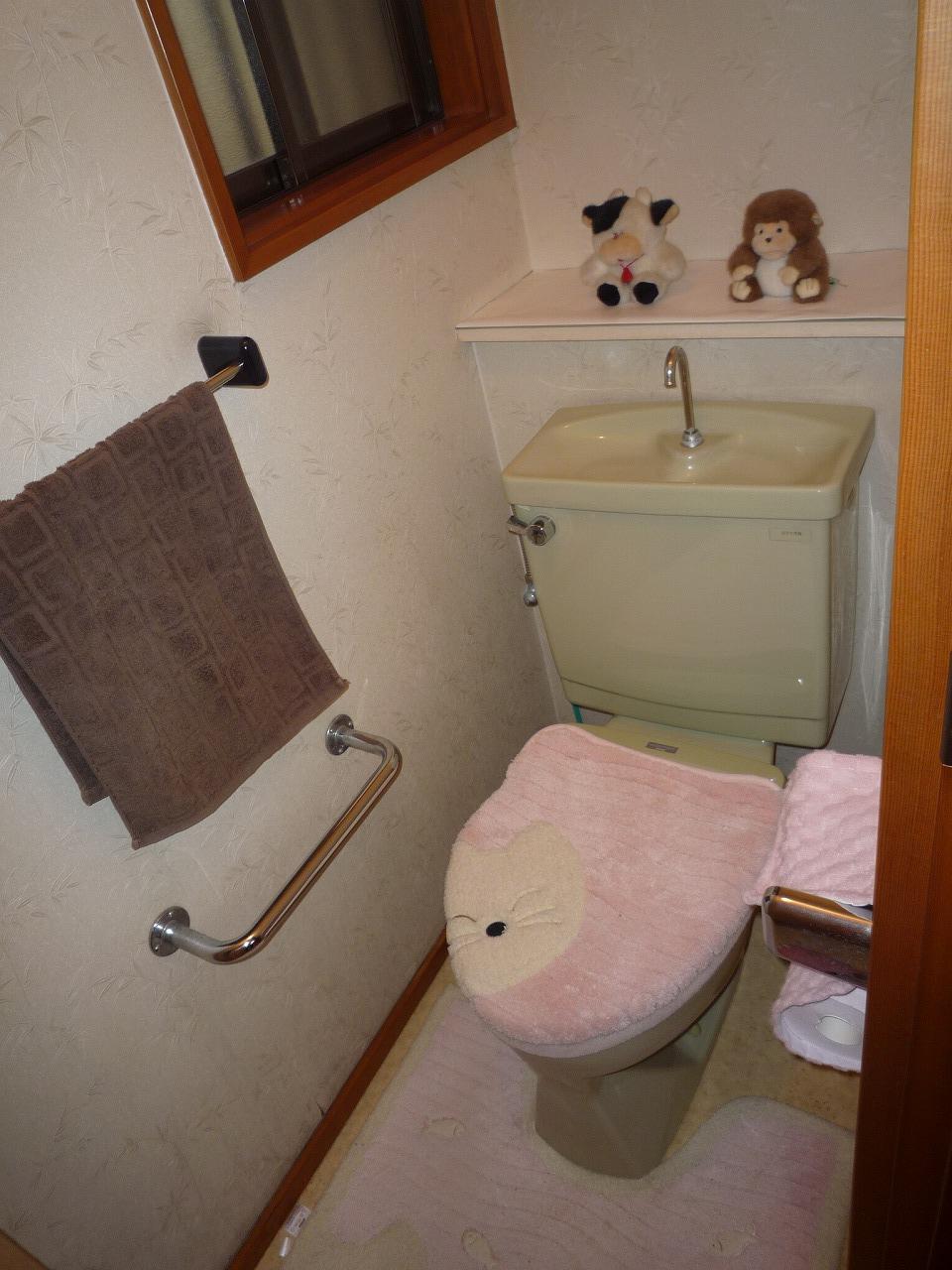 Toilet. Indoor (10 May 2013) Shooting