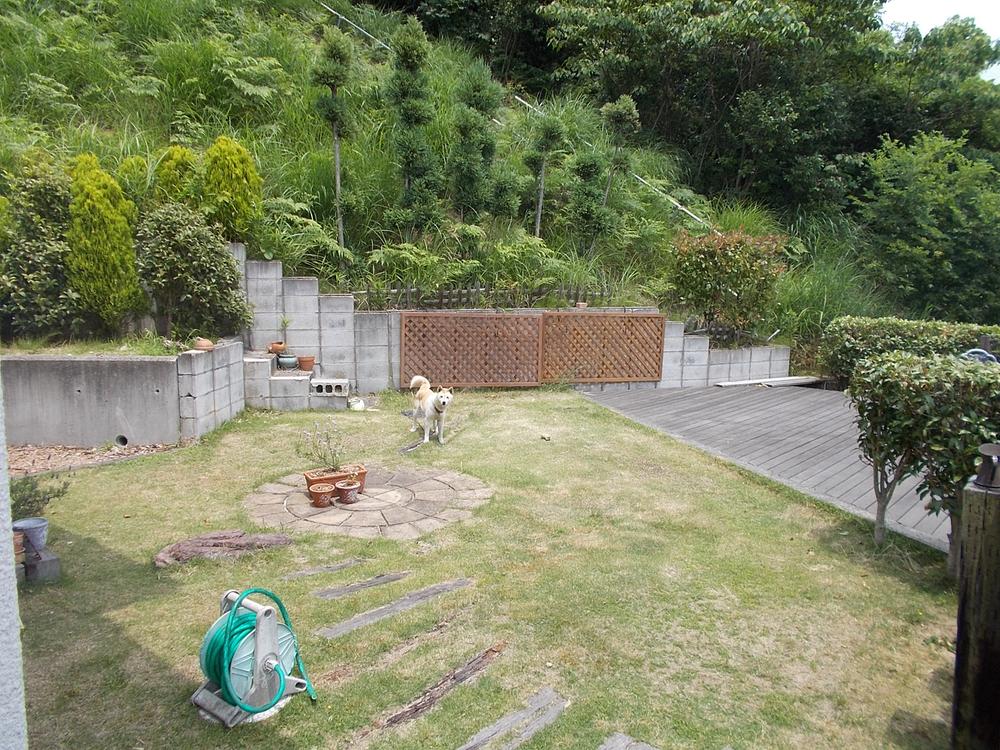 Garden. Local (June 2013) Shooting