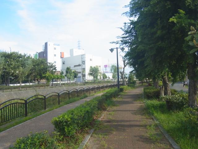 View photos from the local. The green canal daily walk course. It is a good environment blessed with natural.  View from the site (July 2013) Shooting