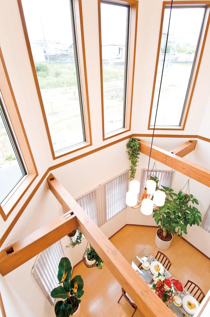 Building plan example (introspection photo). Large Fukinuki (our enforcement example)