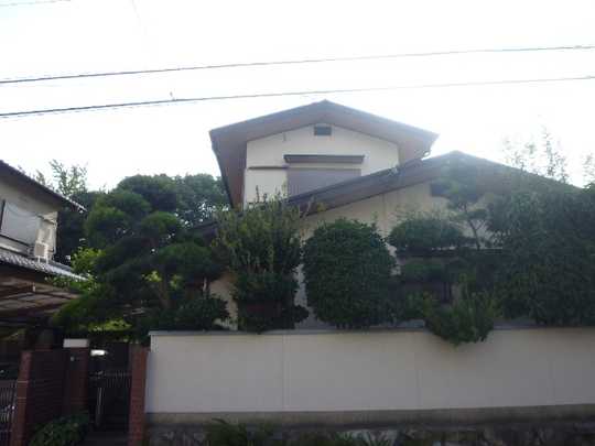 Local appearance photo. Appearance is a picture.