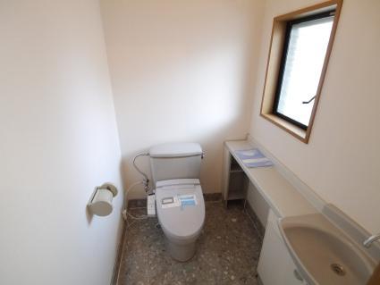 Toilet. Indoor shooting