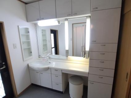 Wash basin, toilet. Indoor shooting