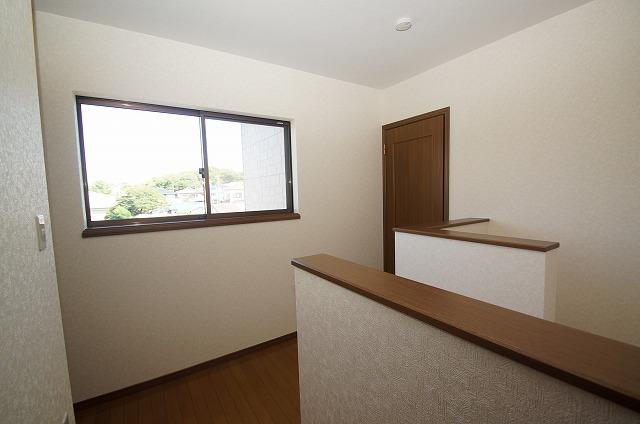 Other introspection. Cross Insect