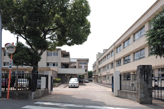 Junior high school. Kumeta 800m until junior high school