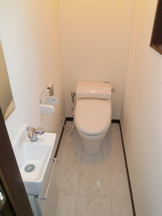 Toilet. Hand wash with toilet