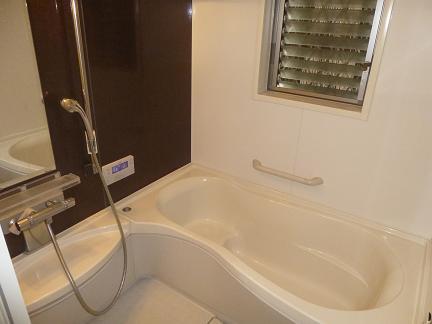 Bathroom. Local (May 2013) Shooting