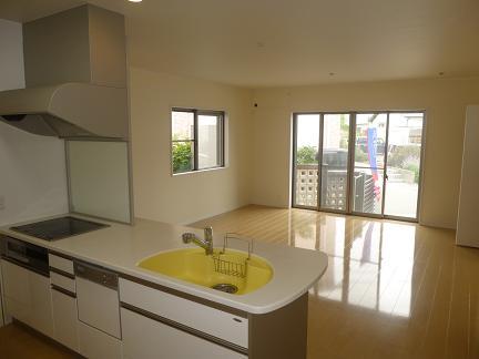 Kitchen. Local (May 2013) Shooting