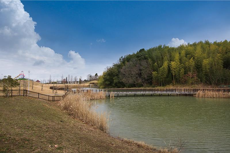 park. 3500m until the dragonfly pond park