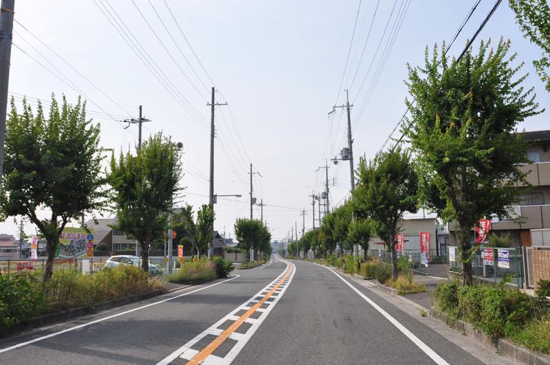 Local photos, including front road. Nakajima pond park next to the doorstep from the local "Zelkova tree-lined" is the perfect avenue to jogging course. (Shooting at local / 2013 November)