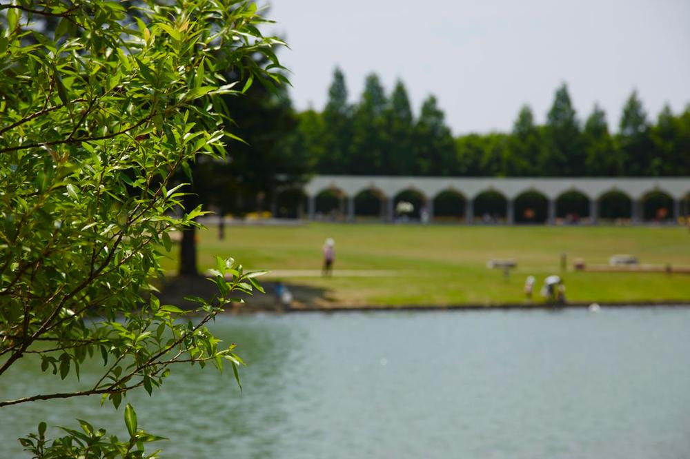 park. 2500m until the dragonfly pond park