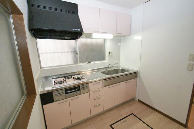 Kitchen. Color stove had made already