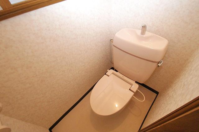 Toilet. Beauty Toilette had made already