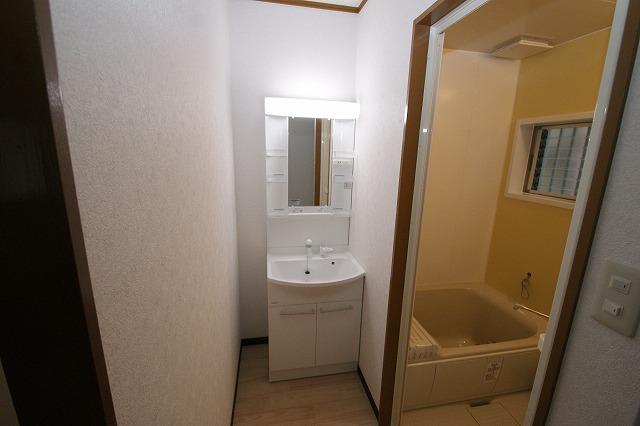 Wash basin, toilet. Vanity had made