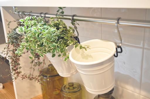 Model house photo. Installing the counter also on the rear of the kitchen. Here also there is a big window, Even grow herbs to use in cooking.