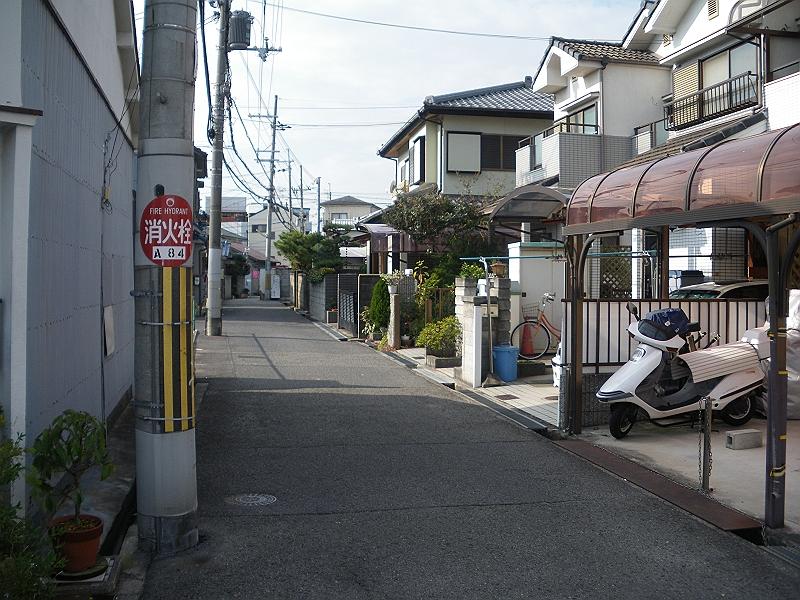 Local photos, including front road