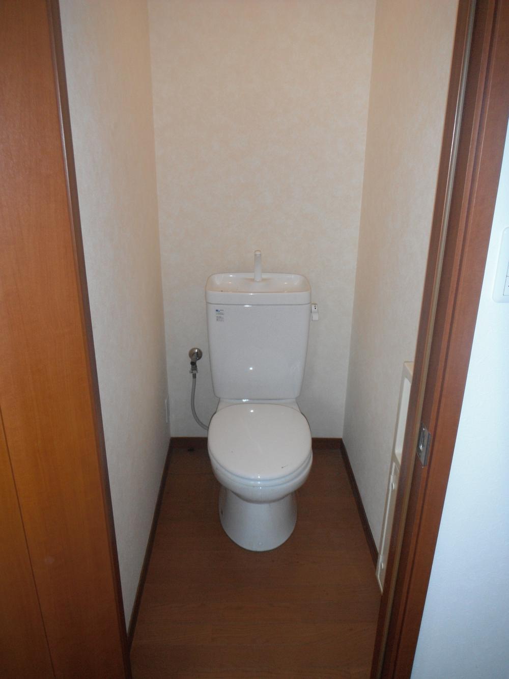 Toilet. First floor toilet
