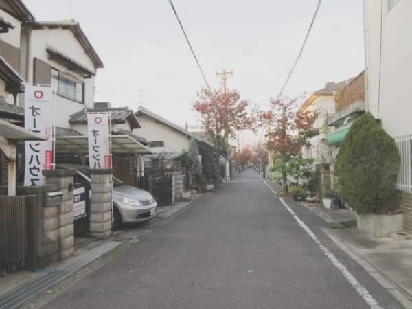 Local photos, including front road