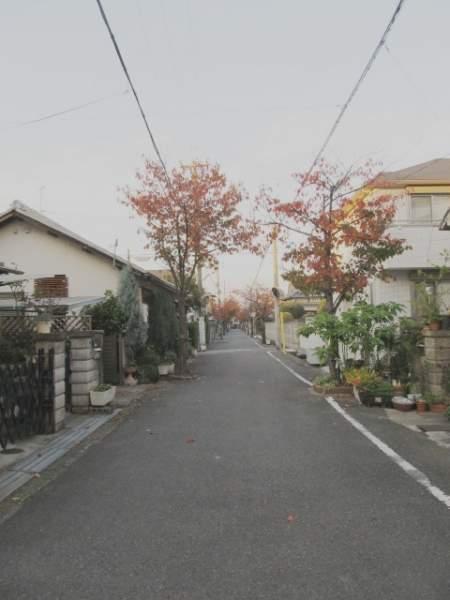 Local photos, including front road