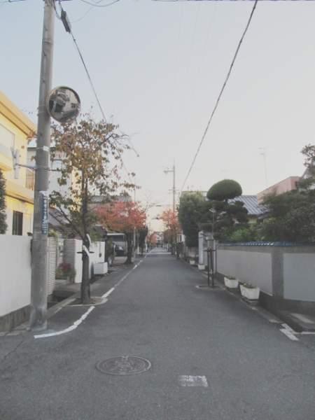 Local photos, including front road