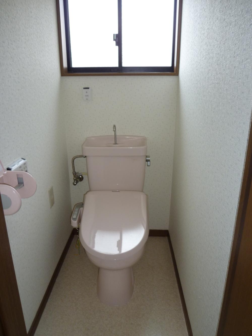 Toilet. Hygiene is also okay with warm water toilet seat specification