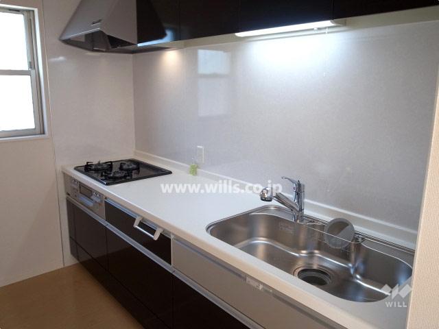 Kitchen. Local (11 May 2013) Shooting