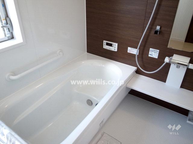 Bathroom. Local (11 May 2013) Shooting