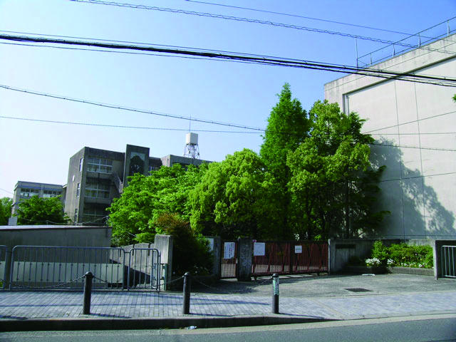 Junior high school. 1440m to the first junior high school