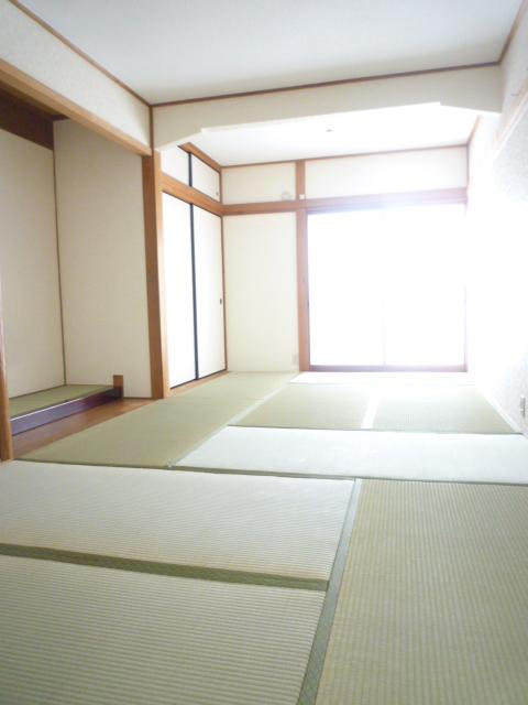 Other introspection. Bright indoor best of charm