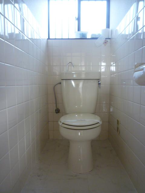 Toilet. Local (11 May 2013) Shooting