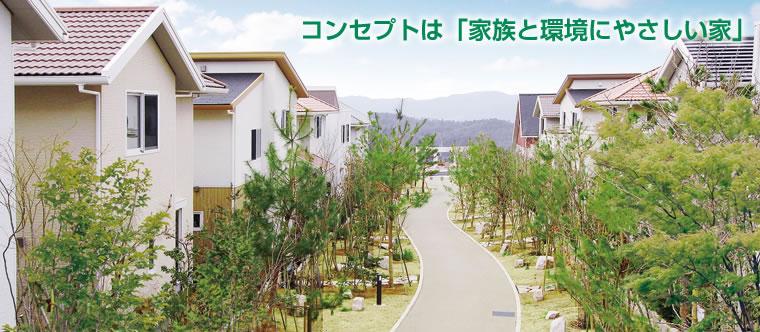 Sale already cityscape photo. Green Road city blocks (city blocks along the promenade of width 10m provided with a green belt).