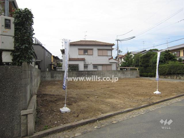 Local land photo. Local (10 May 2013) Shooting