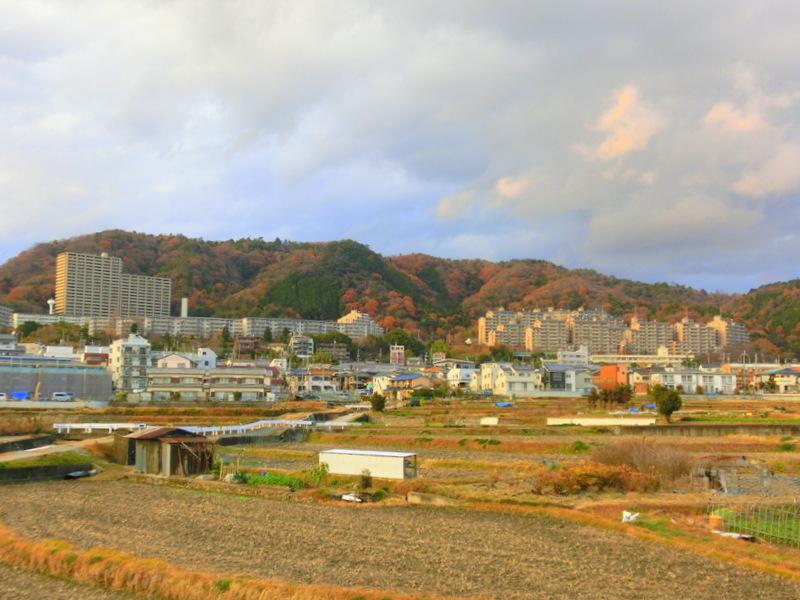View photos from the dwelling unit. This view photos from the second floor window. I was totally fascinated much in this scenery. 