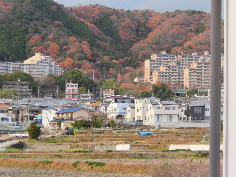 View photos from the dwelling unit