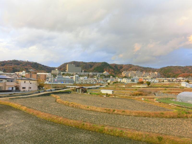 View photos from the dwelling unit. It is quite healed near natural. 