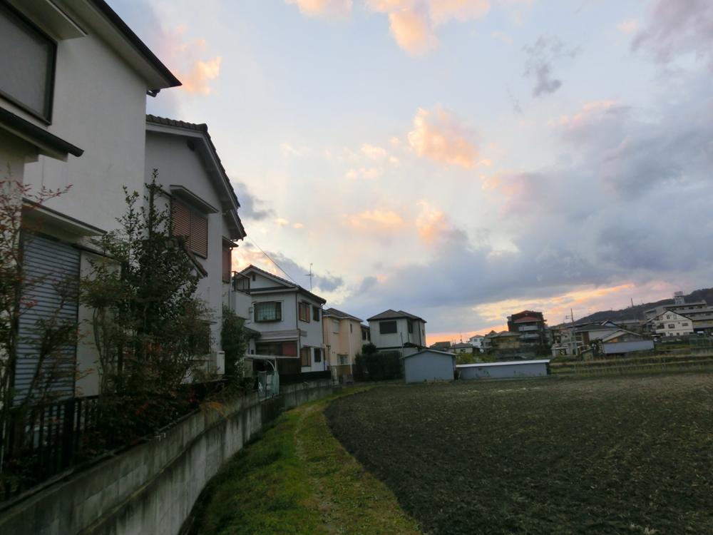 Other. It is a local appearance photo of from the field on the north side of the house. 