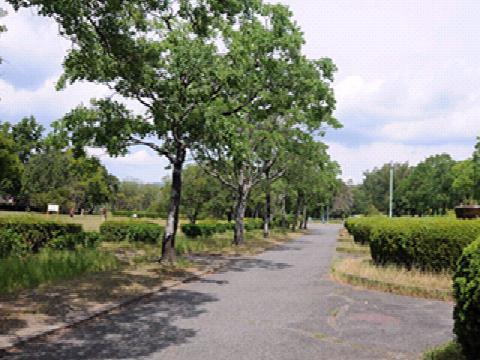 park. 640m to the park who came