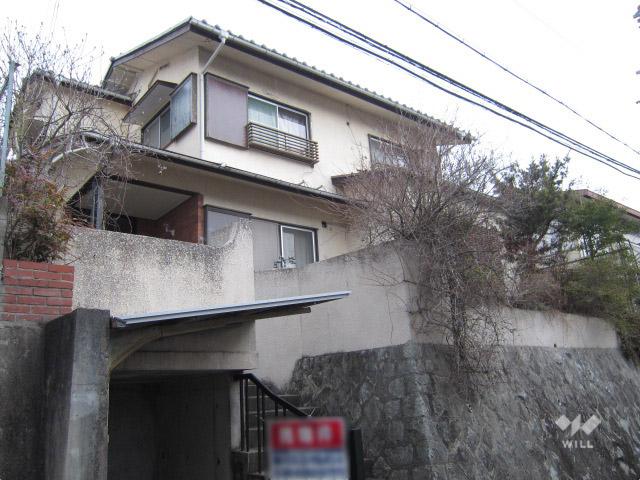 Local appearance photo. From the southeast side