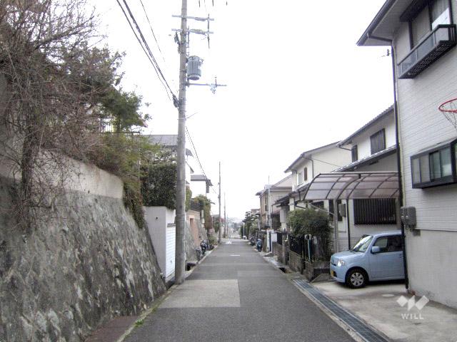 Local photos, including front road. South side the entire surface of the road (from the east)