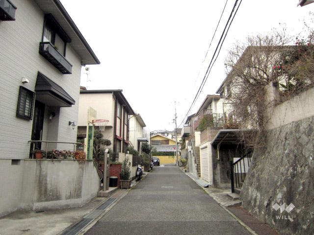 Local photos, including front road. South side the entire surface of the road (from the west)